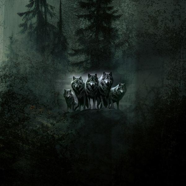 SET Wolves - Kunstleder - Taschenpanel